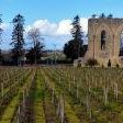 Saint-Emilion by Clyde