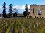 Saint-Emilion by Clyde