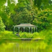 Singapore Botanic Gardens  by Frederik Dawson