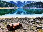 Durmitor National Park by Clyde