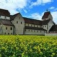 Reichenau by Clyde