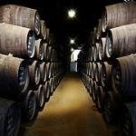 Alto Douro by Clyde