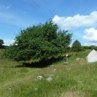 Birka and Hovgarden by Ian Cade