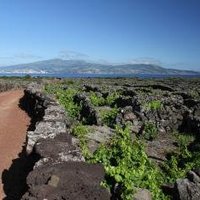 Pico Island by Walter