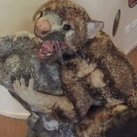 Australian Fossil Mammal Sites by john booth