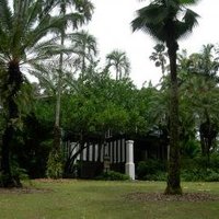 Singapore Botanic Gardens  by Boj