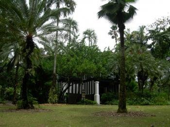 Singapore Botanic Gardens  by Boj