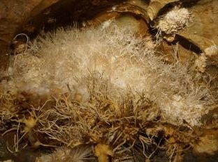 Aggtelek and Slovak Karst by Hubert