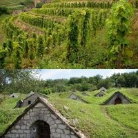 Tokaji Wine Region by Hubert