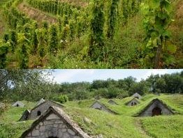 Tokaji Wine Region by Hubert