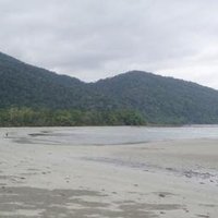 Wet Tropics of Queensland by Mirjam L.