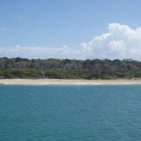 Fraser Island by Mirjam L.