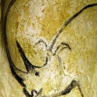 Decorated cave of Pont d'Arc by Clyde