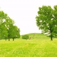Cahokia Mounds by Frederik Dawson