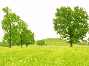 Cahokia Mounds by Frederik Dawson