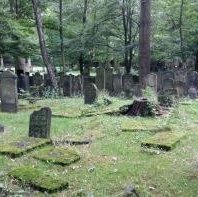 The Jewish Cemetery of Altona Königstrasse by nan