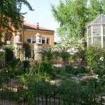 Botanical Garden, Padua by Anonymous WHS Traveller