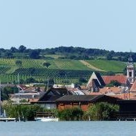 Fertö/Neusiedlersee by Clyde