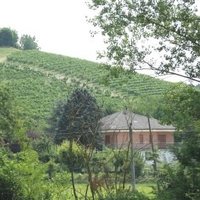 Vineyard Landscape of Piedmont by john booth