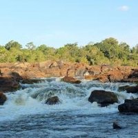 Central Suriname Nature Reserve by Geert Luiken
