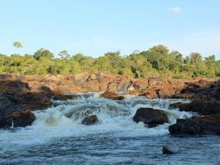 Central Suriname Nature Reserve by Geert Luiken