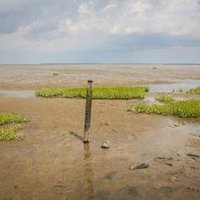 Wadden Sea by Michael Turtle