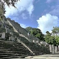Calakmul by Clyde