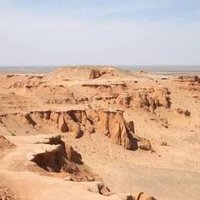 Cretaceous Dinosaur Fossil Sites in the Mongolian  by Michael Novins