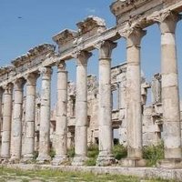 Apamee  by Michael Novins