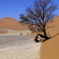 Namib Sand Sea by Walter