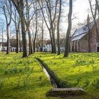 Flemish Béguinages by Michael Turtle