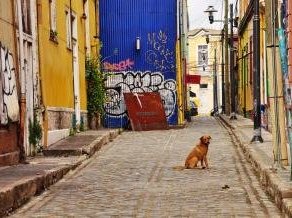 Valparaiso by Frederik Dawson