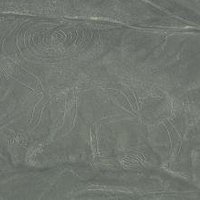 Nasca Lines by Frederik Dawson