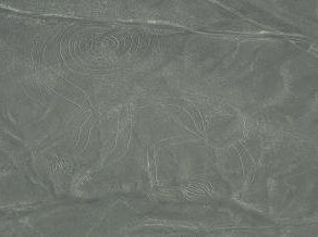 Nasca Lines by Frederik Dawson