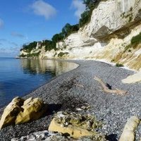 Stevns Klint by Clyde
