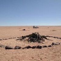 Welwitschia Plains by Kbecq