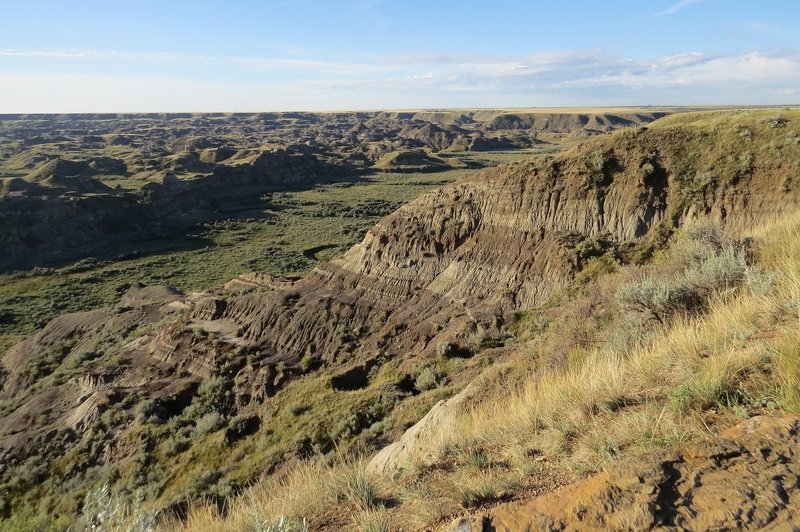 Dinosaur Provincial Park
