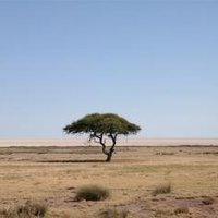 Etosha Pan by Kbecq