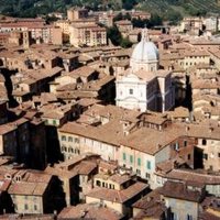 Siena by Jay T