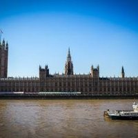 Westminster by Michael Turtle