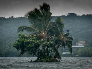 East Rennell by Gary Arndt