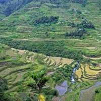 Rice Terraces of the Philippine Cordilleras by Gary Arndt