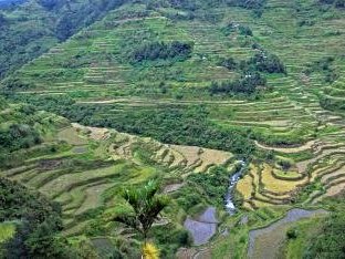 Rice Terraces of the Philippine Cordilleras by Gary Arndt