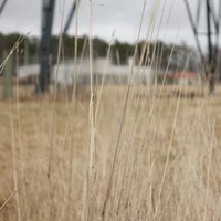 Grimeton Radio Station by Nan