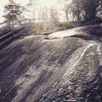 Rock Carvings in Tanum by Nan