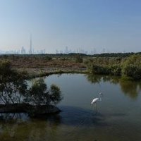 Khor Dubai by Clyde