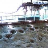 Sites of fossilized dinosaurs  by Solivagant