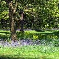 Kew Gardens by Jay T