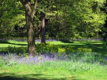 Kew Gardens by Jay T