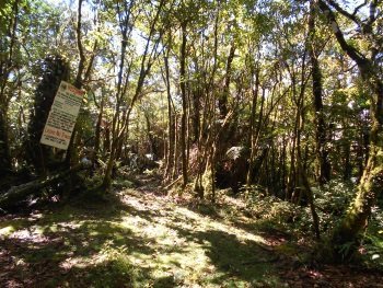 Mt. Malindang Range Natural Park by Boj